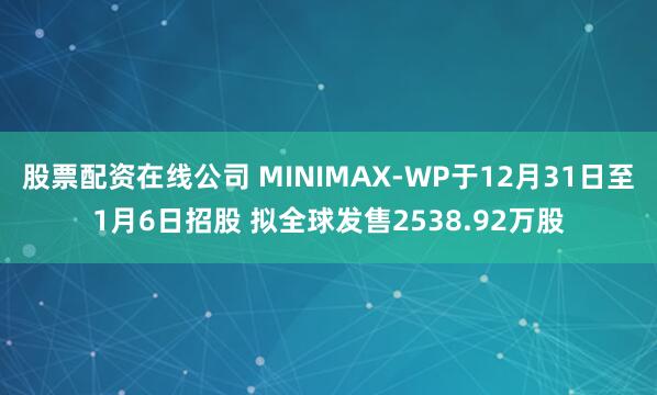 股票配资在线公司 MINIMAX-WP于12月31日至1月6日招股 拟全球发售2538.92万股