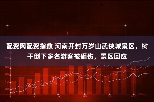 配资网配资指数 河南开封万岁山武侠城景区，树干倒下多名游客被砸伤，景区回应